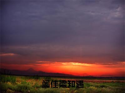 梁知遇闻佳在线阅读（闻佳梁知遇）全文免费阅读_闻佳梁知遇最新章节列表_笔趣阁