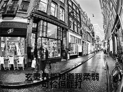 云窈帝渊全文免费阅读-全网首发小说玄灵界都知道我柔弱可怜但能打
