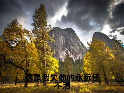 这是我欠他的永远还不清无广告免费阅读-小说周凛秦南星最后结局如何
