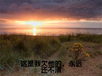 秦南星周凛小说全文(这是我欠他的,永远还不清)全文免费阅读无弹窗大结局_这是我欠他的,永远还不清小说免费最新章节列表