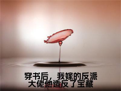 穿书后，我嫁的反派大佬他造反了宝藏全文全章节免费阅读-秦晟吕颂梨全文免费阅读无弹窗大结局