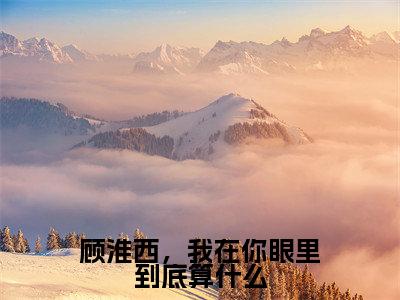 顾淮西夏予沫(顾淮西,我在你眼里到底算什么)全文免费阅读无弹窗大结局_顾淮西,我在你眼里到底算什么_笔趣阁