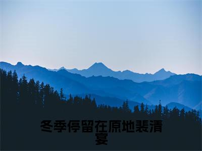 冬季停留在原地裴清宴（时虞裴清宴）全文免费阅读无弹窗大结局_冬季停留在原地裴清宴最新章节列表-笔趣阁时虞裴清宴