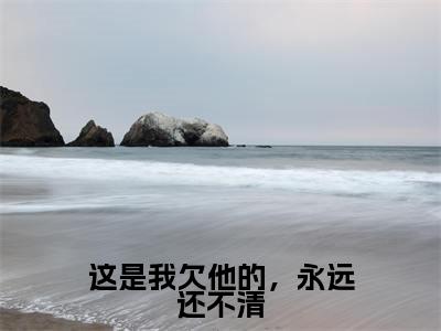 这是我欠他的,永远还不清周凛秦南星全文免费阅读无弹窗大结局_周凛秦南星小说免费阅读