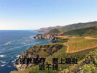 强取豪夺,惹上疯批逃不掉(傅司礼叶小糯小说)全文免费阅读无弹窗大结局_强取豪夺,惹上疯批逃不掉小说傅司礼叶小糯列表