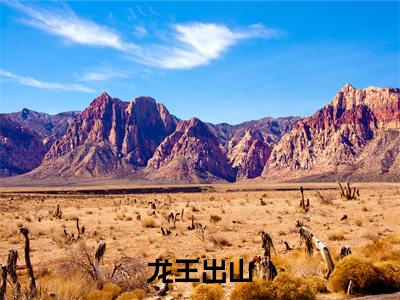 龙王出山（叶天羽）全文免费阅读无弹窗大结局_龙王出山_笔趣阁