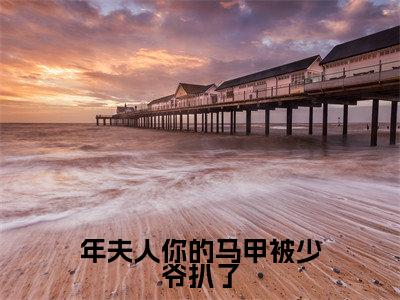 年夫人你的马甲被少爷扒了全文免费阅读无弹窗-（年景骁叶枳夏在线阅读）年夫人你的马甲被少爷扒了最新章节列表笔趣阁