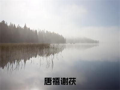 唐禧谢茯全文免费阅读无弹窗大结局_（唐禧谢茯）最新章节列表_笔趣阁（唐禧谢茯小说）