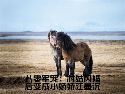 江墨沉苏凝雪为江墨沉苏凝雪的小说叫什么-最新小说八零军宠:村姑闪婚后变成小娇娇江墨沉全文阅读