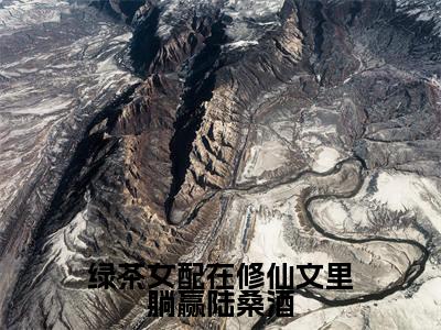 绿茶女配在修仙文里躺赢陆桑酒全文免费阅读无弹窗大结局_（陆桑酒免费阅读）绿茶女配在修仙文里躺赢陆桑酒最新章节列表_笔趣阁