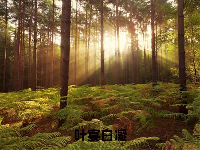 叶宴白凝全文免费阅读_（白凝叶宴小说）叶宴白凝言情小说在线阅读笔趣阁（白凝叶宴）