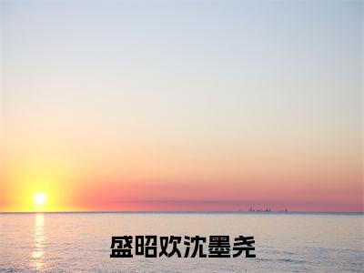 盛昭欢沈墨尧免费阅读无弹窗大结局,盛昭欢沈墨尧最新章节