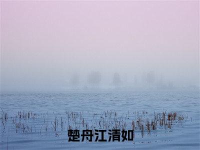 楚舟江清如(楚舟江清如)免费小说全文完整版-楚舟江清如最新章节完整版阅读