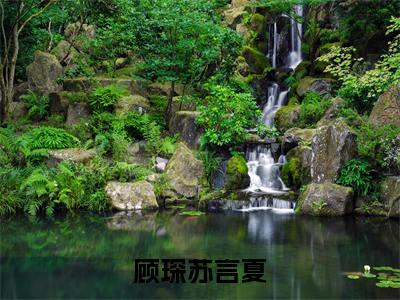 顾琛苏言夏全文免费阅读_(苏言夏顾琛免费阅读无弹窗)苏言夏顾琛最新章节列表笔趣阁