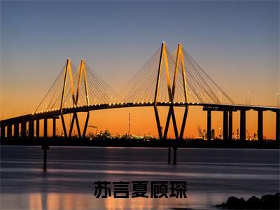苏言夏顾琛全本资源免费阅读结局无删节-苏言夏顾琛小说全文阅读无弹窗(苏言夏顾琛)