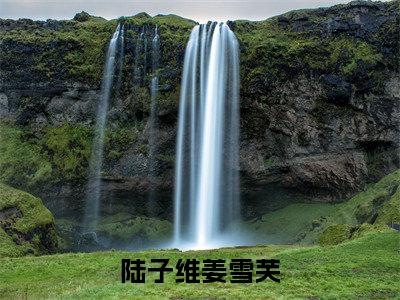 陆子维姜雪芙（姜雪芙陆子维）全文免费阅读无弹窗大结局_姜雪芙陆子维小说最新章节列表