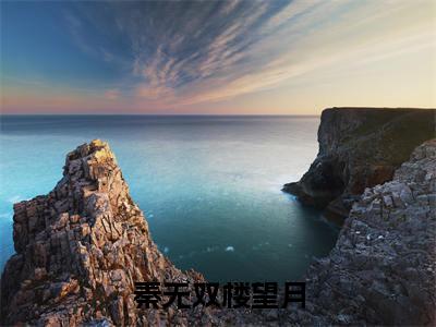 楼望月秦无双（秦无双楼望月）全文免费阅读无弹窗大结局_楼望月秦无双说免费阅读最新章节列表