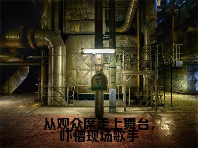 从观众席走上舞台，吓懵现场歌手小说（邵阳）全文免费阅读无弹窗大结局_从观众席走上舞台，吓懵现场歌手最新章节列表_笔趣阁