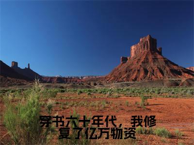 童晓晓的小说主角（穿书六十年代，我修复了亿万物资）免费阅读_穿书六十年代，我修复了亿万物资热搜小说完结版阅读