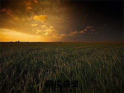 秦执许曳小说全文(秦执许曳)免费阅读全文无弹窗大结局_秦执许曳免费阅读无弹窗小说_笔趣阁