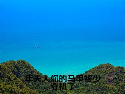 小说《年夫人你的马甲被少爷扒了》全文免费阅读无弹窗-年夫人你的马甲被少爷扒了(年景骁叶枳夏)小说全文在线赏析_笔趣阁