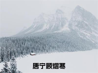 唐宁顾熠寒(唐宁顾熠寒)全文免费阅读无弹窗大结局_唐宁顾熠寒最新章节列表