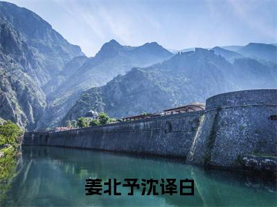 姜北予沈译白全文免费阅读无弹窗大结局-姜北予沈译白全文在线阅读