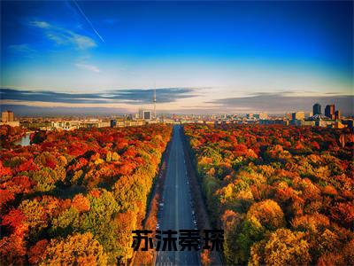 【新书】《秦琛苏沫》全文免费阅读无弹窗大结局-苏沫秦琛全文全章节免费阅读