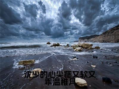 沈少的心尖痣又软又乖温稚月小说(沈郁温稚月)全文免费阅读无弹窗大结局_沈郁温稚月小说免费阅读无弹窗最新章节列表