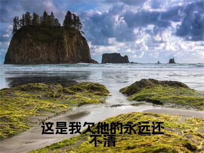 周凛秦南星(这是我欠他的永远还不清)全文在线阅读无弹窗大结局_(这是我欠他的永远还不清)最新章节列表_笔趣阁