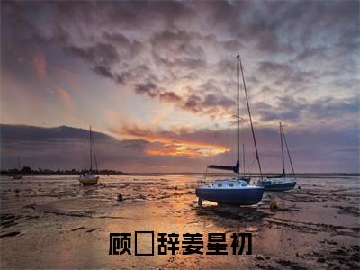 姜星初顾璟辞（顾璟辞姜星初）全文免费阅读无弹窗大结局顾璟辞姜星初（姜星初顾璟辞）