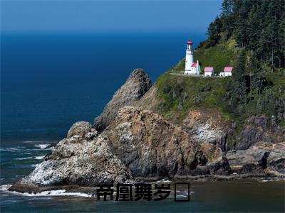 帝凰舞岁玥小说（帝凰舞岁玥）全文免费阅读_帝凰舞岁玥小说（帝凰舞岁玥）最新章节列表笔趣阁小说