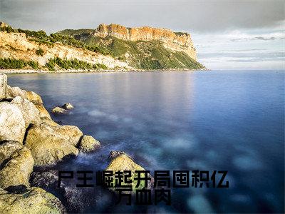 尸王崛起开局囤积亿万血肉（武烨）全文免费阅读无弹窗大结局_（尸王崛起开局囤积亿万血肉无弹窗）武烨最新章节列表阅读_笔趣阁