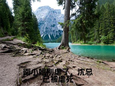 南小姐别虐了，沈总已被虐死主角是沈希衍南浅全文免费阅读无弹窗-南小姐别虐了，沈总已被虐死最新章节列表-笔趣阁