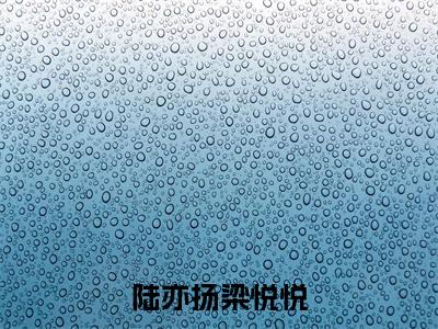 陆亦扬梁悦悦全文免费阅读无弹窗大结局_(梁悦悦陆亦扬)陆亦扬梁悦悦小说免费阅读完整版全文大结局