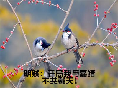 明贼:开局我与嘉靖不共戴天!在线阅读(杨寒苍)全文免费阅读无弹窗大结局_杨寒苍最新章节列表笔趣阁(明贼:开局我与嘉靖不共戴天!)