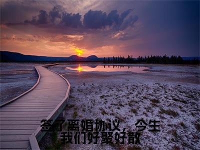 签了离婚协议，今生我们好聚好散（程岁宁陈敬怀）最新章节在线阅读-老书虫推荐签了离婚协议，今生我们好聚好散小说