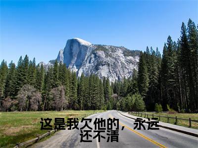 这是我欠他的,永远还不清(周凛秦南星)小说全文-这是我欠他的,永远还不清小说免费阅读大结局
