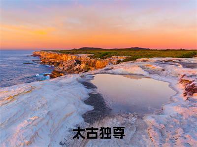 太古独尊(苏寒)全文免费阅读大结局_苏寒免费在线阅读无删减