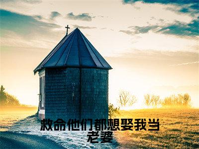 小说《救命他们都想娶我当老婆》全文免费阅读无弹窗-桀狼曲昭昭小说全文在线赏析_笔趣阁