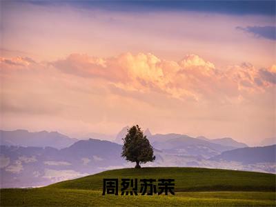 周烈苏茉(周烈苏茉)全文免费阅读最新章节大结局_周烈苏茉最新章节列表_笔趣阁