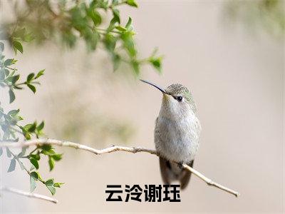 云泠谢珏全文免费阅读-（云泠谢珏）小说全文免费阅读正版无弹窗