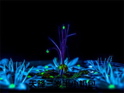 天降三岁半小奶包(任诺)全文免费阅读无弹窗大结局_天降三岁半小奶包热门小说最新章节阅读