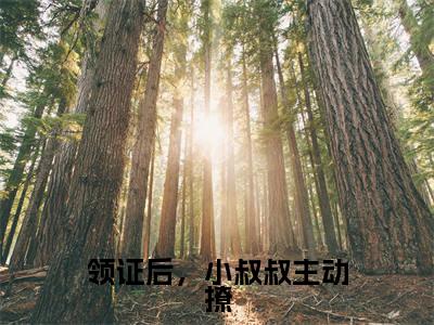初霜顾隋小说完整版阅读-领证后,小叔叔主动撩小说全文无删减版