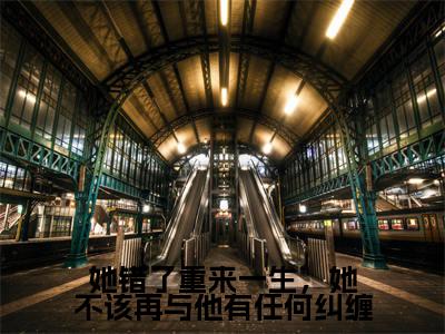 她错了重来一生,她不该再与他有任何纠缠全文小说(花颜周淮遇)全文阅读-她错了重来一生,她不该再与他有任何纠缠在线小说免费阅读