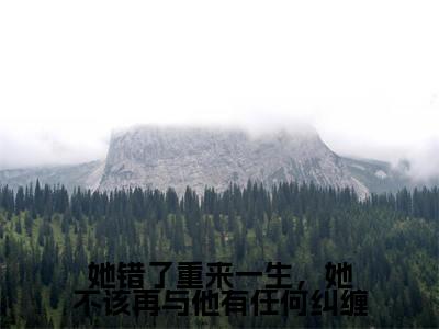 花颜周淮遇（她错了重来一生，她不该再与他有任何纠缠）全文免费阅读无弹窗完整版，（花颜周淮遇）免费阅读全文最新章节列表_笔趣阁