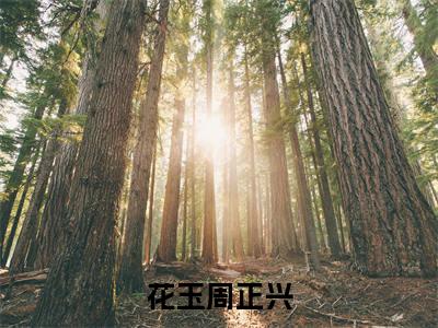 花玉周正兴(周正兴花玉)小说全文免费读无弹窗大结局_花玉周正兴小说全文免费阅读