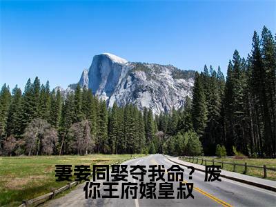 妻妾同娶夺我命？废你王府嫁皇叔（沈天娇龙乘风）小说全文免费阅读无弹窗大结局_妻妾同娶夺我命？废你王府嫁皇叔最新章节列表笔趣阁