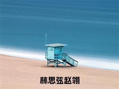 林思弦赵翎（赵翎林思弦）老书虫推荐小说热文-林思弦赵翎最新更新免费阅读