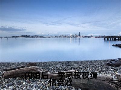 主角是宋柚季亦琛的小说叫什么名字闪婚后，季总夜夜纵情贪欢精彩结局阅读
